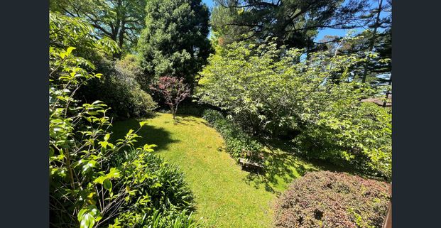 Maple Garden Cottage! - Photo 1