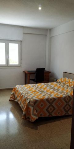 Flat - Granada - Photo 4