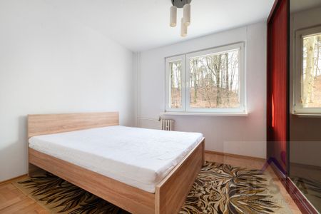 Gdynia Działki Leśne, ul. Tatrzańska - Photo 5