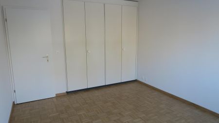 Charmante Wohnung in der Nähe vom Rosengarten - Photo 2