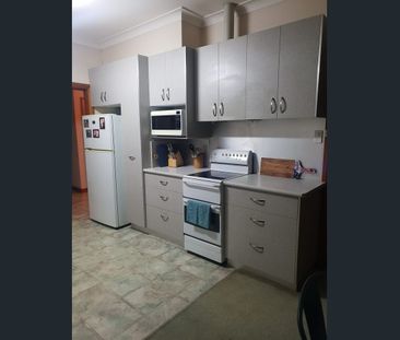 444 Schubach Street, East Albury, NSW 2640 - Photo 5