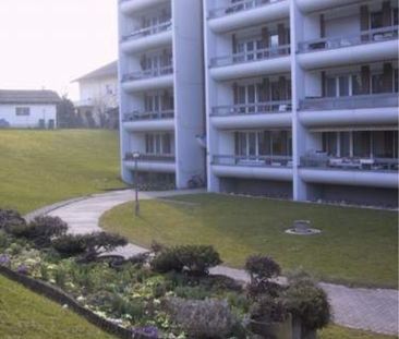 LOCATION SANS ACOMPTE - Appartement familial ou appartement individ... - Foto 5