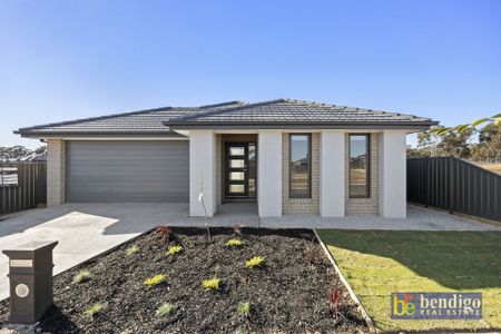 Modern & Practical Family Living in Huntly - Photo 4