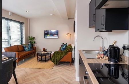 Apt 5, 225a Albertbridge Road, Belfast, BT5 4PX - Photo 3