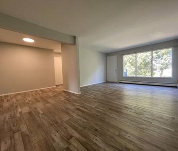 Spacious Newly Renovated 2 Bedroom Near Downtown - Photo 3