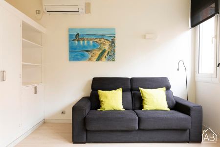 Eixample studio with communal terrace - Photo 3