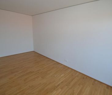 Jakomini – 54 m², traumhafte 3 Zimmerwohnung – riesiger Süd-Westbal... - Photo 3