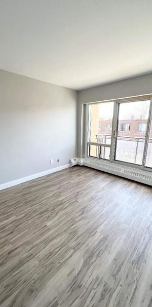 Studio - Montréal - $1,060 /mo - Photo 1