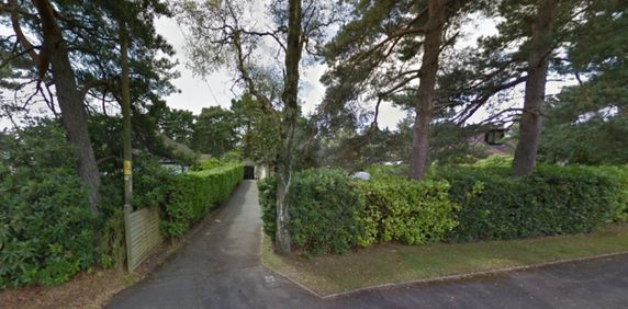 Ferndown LARGE MODERN BUNGALOW - Photo 2