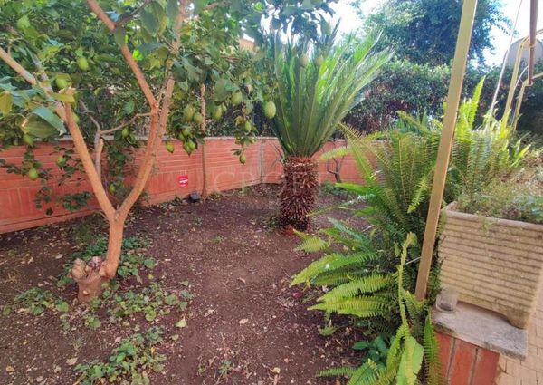 Monteverde Vecchio-Terrace: Furnished 2 Bedroom, 2 Bath, spacious kitchen, living, large private terrace and garden. Bright, silent, near shops, services and transport, located on a quite street in a well kept building. Possible parking. Ref 2375