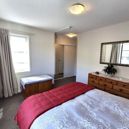 Sunny Thorndon Apartment - Photo 5