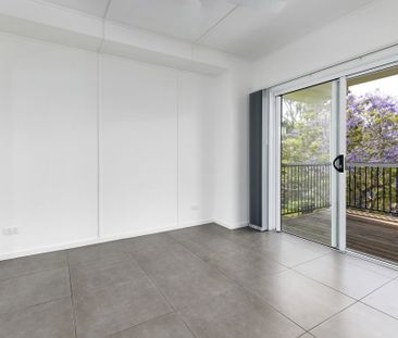 20 Allison Road, Hyland Park NSW 2448 - House For Rent | Domain - Photo 3