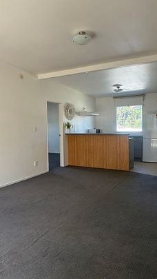 Spacious 3XL BR Mt Cook Apartment - *Great Value* - Photo 1