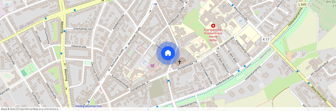 Siepenstraße 26, 44623 Nordrhein-Westfalen - Herne