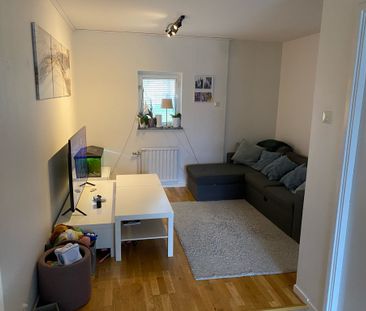 Fågelvägen, Äng - Foto 6