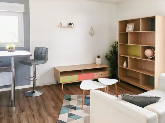 Location Appartement 1 pièce Meublé 30m² TOURS 37100 - Photo 1