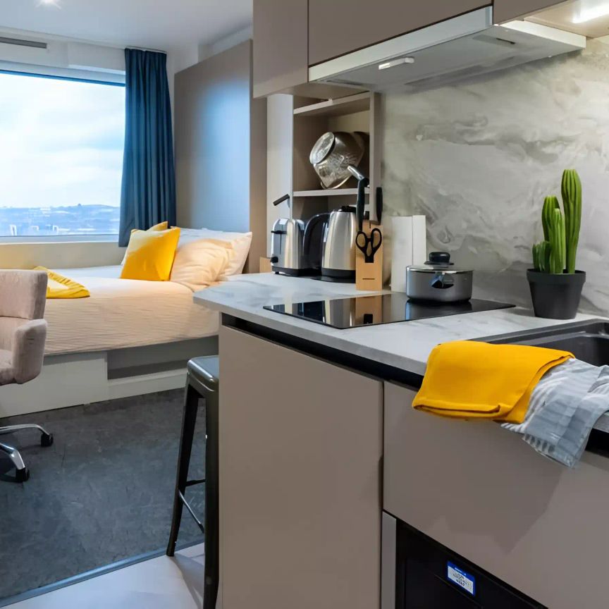 Penthouse Studio Plus - Photo 1