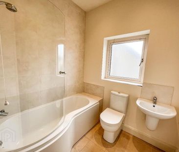 16 Alder Way, Lisburn, BT28 2SX - Photo 6