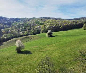 Jetzt mieten, später kaufen: Wohnen im idyllischen Kaltenleutgeben - Photo 2