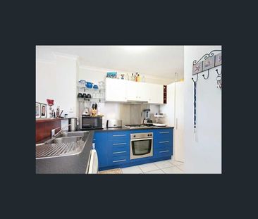 City Living in the Perfect Location - Photo 4