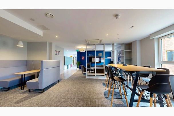 Premium Studio - Photo 1