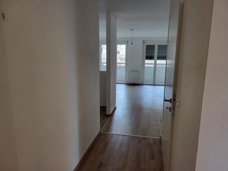 8020 Graz, Eggenberger Gürtel 56b/01/003 - Photo 3