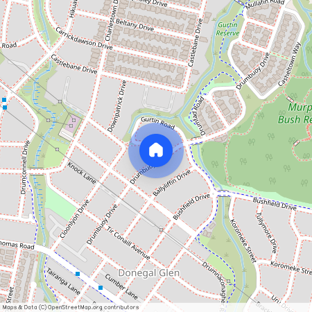 45 Drumbuoy Drive, Flat Bush, Auckland