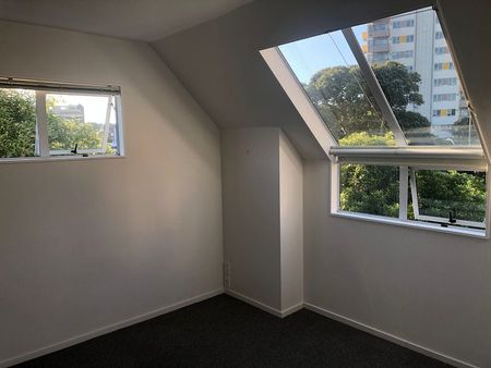 Modern 3 bed, 2 bathroom with 3 carparks - Photo 5