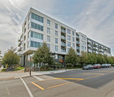 Appartement à Montréal (Mercier/Hochelaga-Maisonneuve) - Photo 2