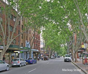 17/101 Macleay Street, Potts Point NSW 2011 - Studio For Rent | Domain - Photo 6