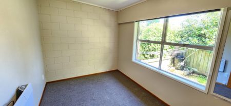 Unit 2, 9A George Street, Vogeltown, New Plymouth - Photo 4