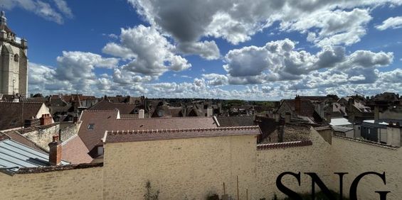 T1 MEUBLE RENOVE COMME NEUF HYPER CENTRE VILLE - Photo 3