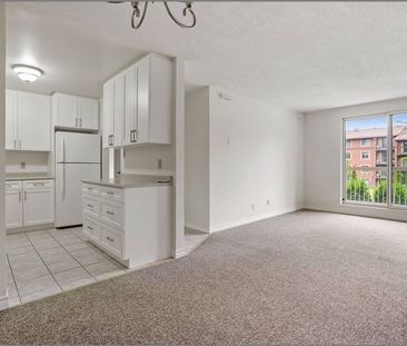 For Lease - 131 Edgehill Drive Unit# O5, Barrie, Ontario - Photo 4