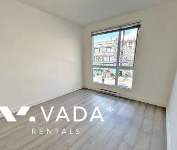 1 Bedroom Apartment For Rent in Vancouver - Photo 2