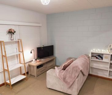 Modernised Unit within short stroll to CBD - Photo 6