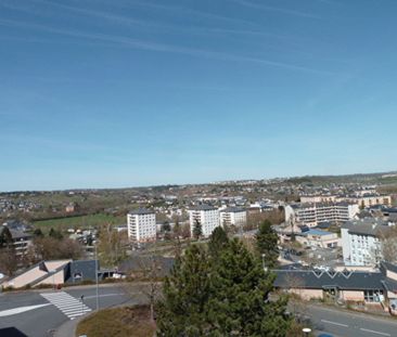 Location Appartement 1 pièce 20m² - Photo 2