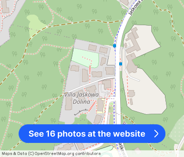 Villa Jaśkowa Dolina - Photo 1