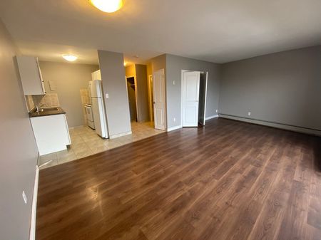 apartments at 1720 Paris Street - Photo 4