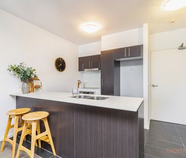 159/45 Catalano Street, Wright ACT 2611 - Apartment For Rent | Domain - Photo 2