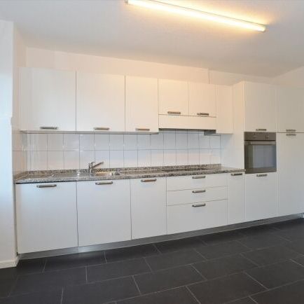 Emplacement calme près du centre et de l’université - Photo 1