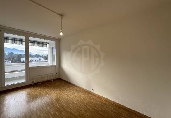 Appartement Spacieux - Chêne-Bougeries - Photo 1