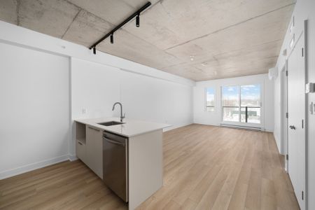 30 Av. Joseph-Laflèche, #312 - Photo 4