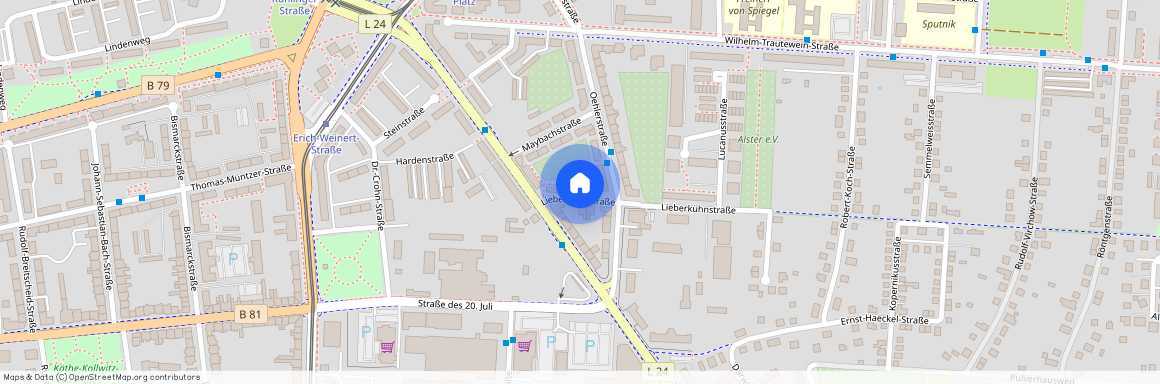 Lieberkühnstraße 32, 38820 Sachsen-Anhalt - Halberstadt