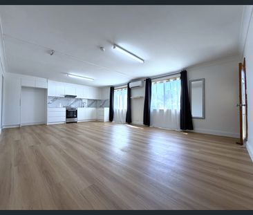 Huge renovated 1 bedroom house-ground level - Photo 3