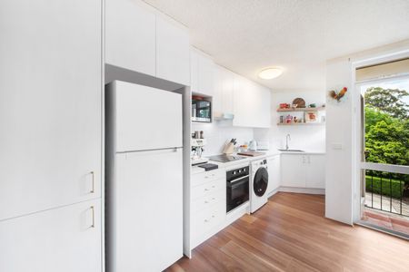 3/216-220 Longueville Road, Lane Cove NSW 2066 - Apartment For Rent | Domain - Photo 2