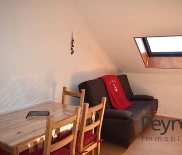 Location Appartement 1 pièce 18m² BOLQUERE 66210 - Photo 2