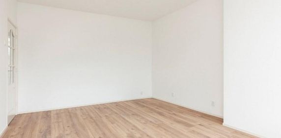 Groene Hilledijk, 3073 AA Rotterdam, Nederland - Photo 2