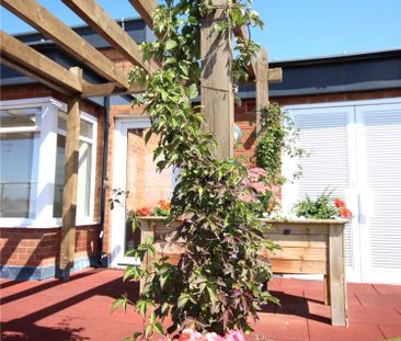 Olive Tree Court, - Photo 5