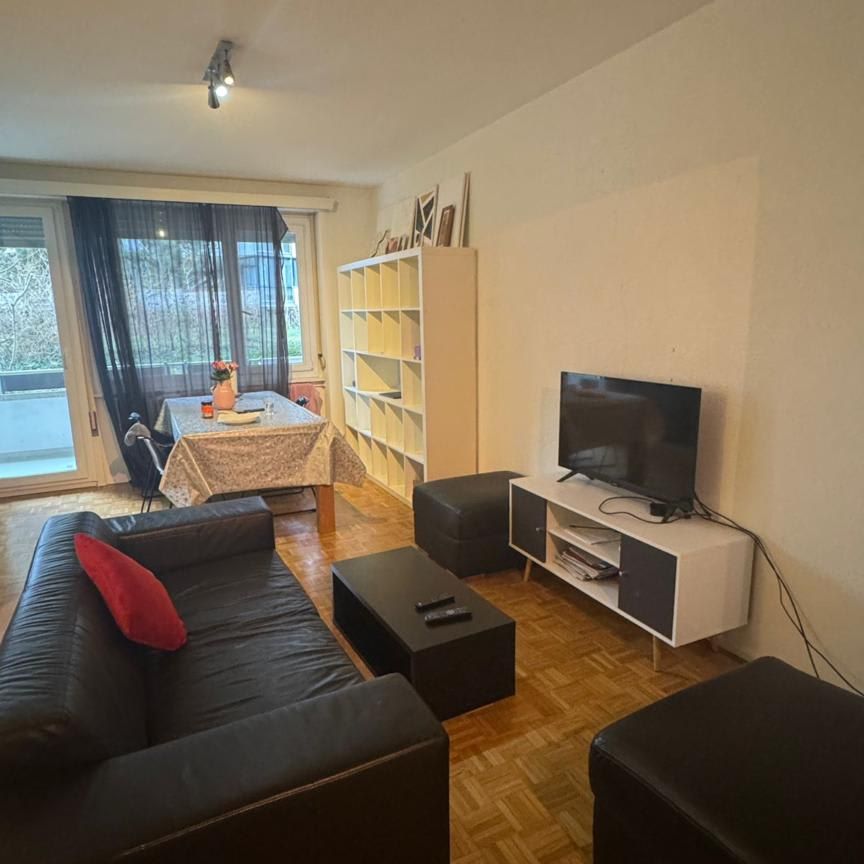 2.5 Zimmer, 55 m² - Photo 1