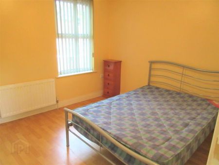 Great 5 Bedroom House, 9 Collingwood Avenue, Queens University Area, Belfast, BT7 1QT - Photo 3